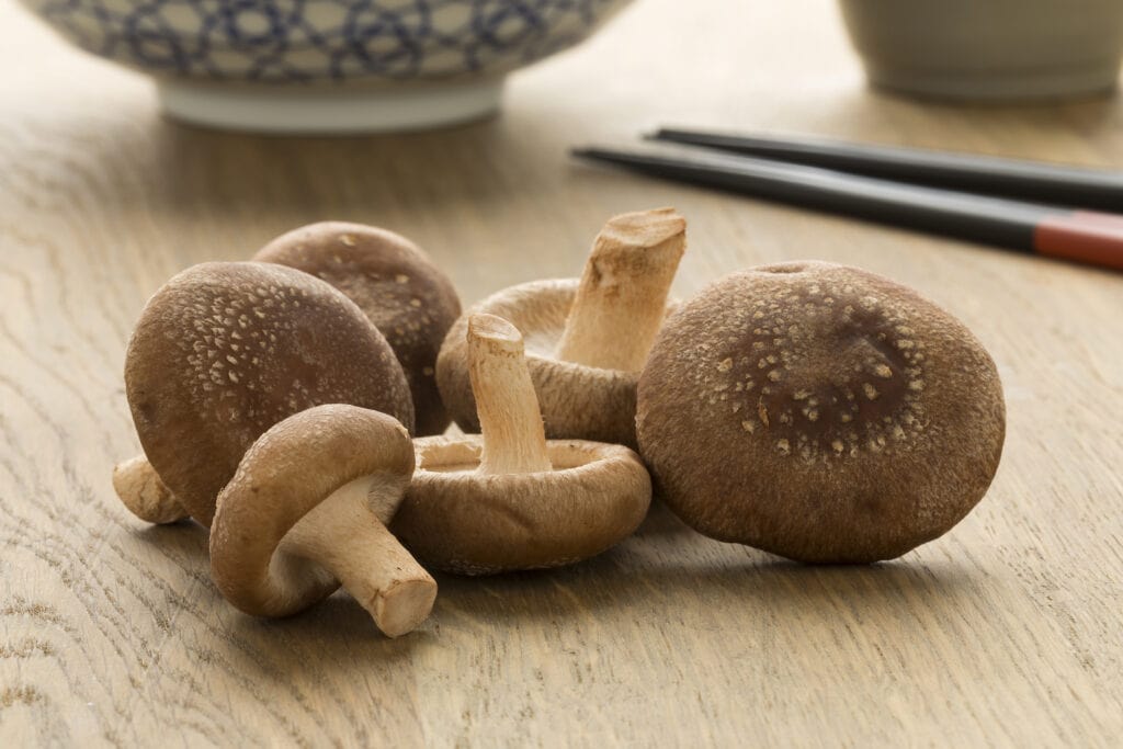 How to keep mushrooms