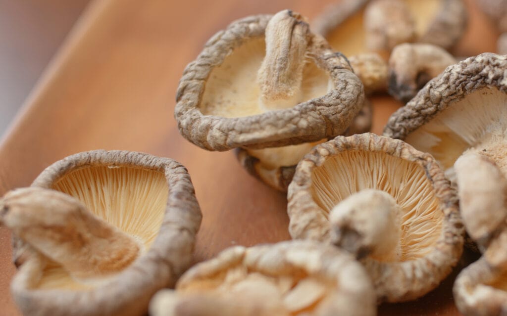 how to keep mushrooms
